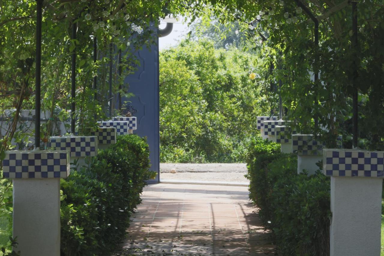 Villa Paula Valencia Manises Εξωτερικό φωτογραφία